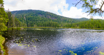 COLL2086-Pano.jpg
