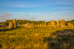 COLL2323.jpg
