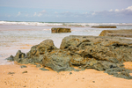 COLL2426.jpg