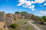 COLL2526.jpg