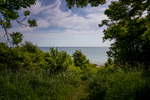 COLL3920.jpg