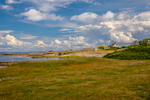 COLL3950.jpg