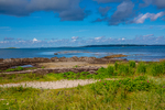 COLL3951.jpg