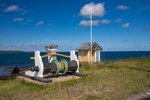 COLL3956.jpg