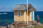 COLL3960.jpg