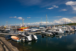 COLL3961.jpg