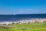 COLL3965.jpg