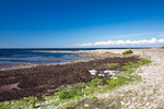 COLL3967.jpg