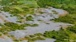 DJI_0564.jpg