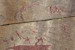 COLL4007.jpg