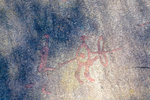COLL4016.jpg