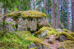 COLL4041.jpg