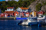 COLL3993.jpg