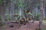 COLL4096.jpg