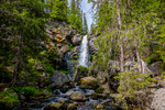 COLL4109.jpg