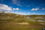 COLL4160.jpg