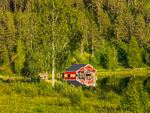 IMG_3354.jpg