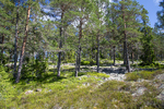 COLL4199.jpg
