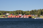 COLL4219.jpg