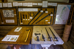 COLL4239.jpg