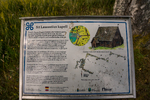 COLL4250.jpg
