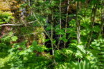 COLL4264.jpg