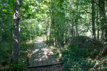 COLL4268.jpg