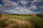 COLL4308.jpg