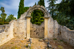 COLL4479.jpg